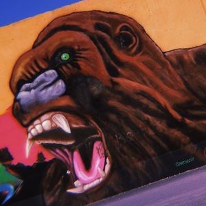 Meet your Posher, Claire